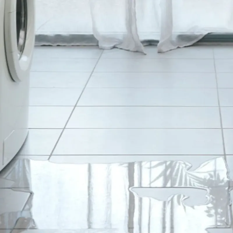 Appliance Leak Cleanup in Wilson County, TX