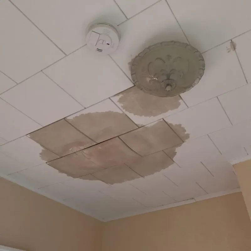 Ceiling Water Damage Repair in Wilson County, TX